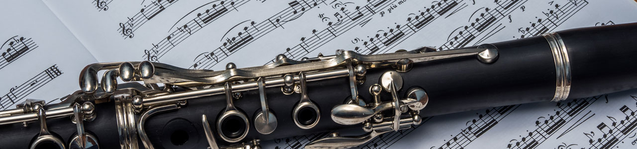 半澤未沙クラリネットレッスンのシステム詳細説明